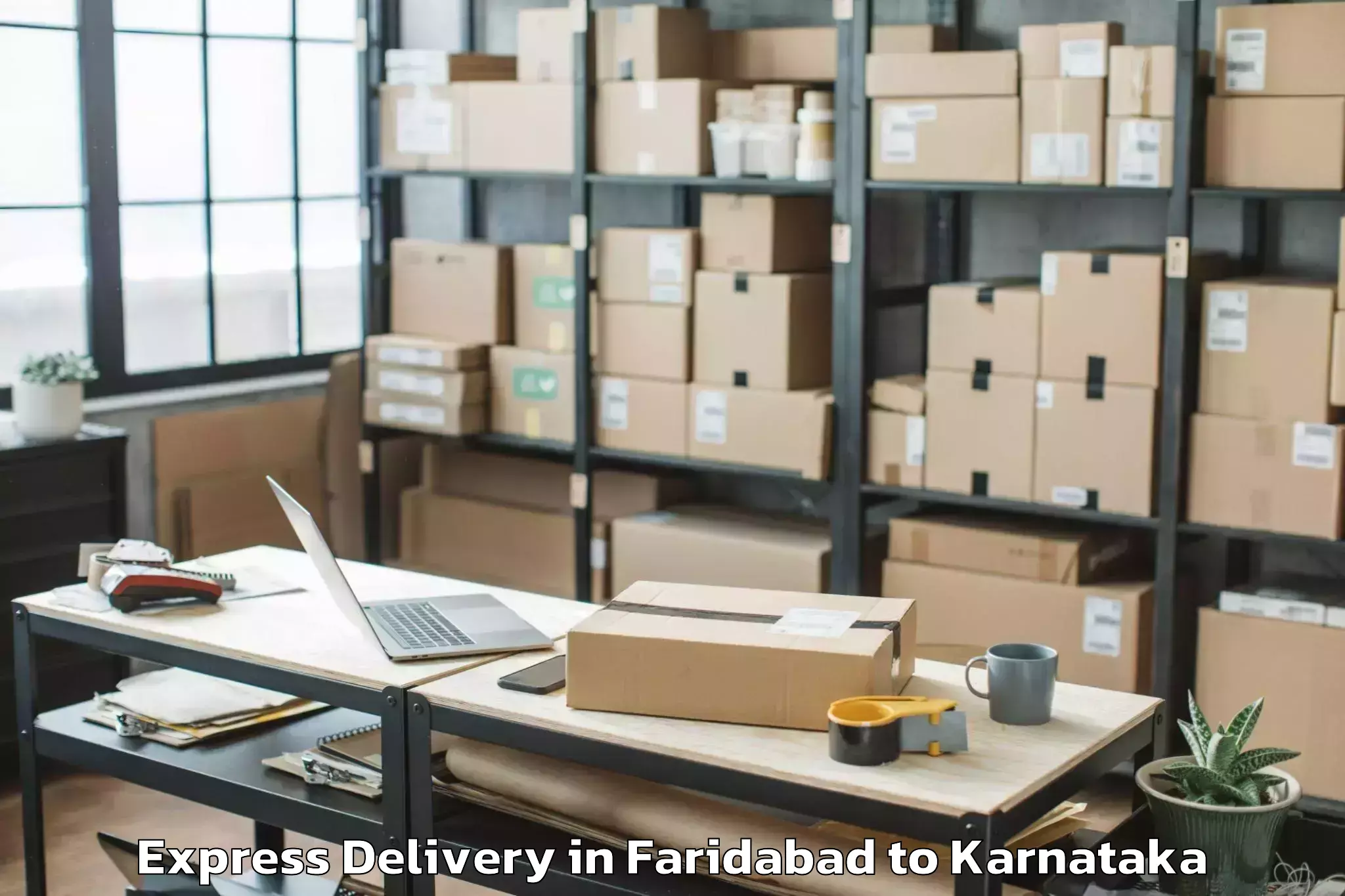 Professional Faridabad to Bewoor Express Delivery